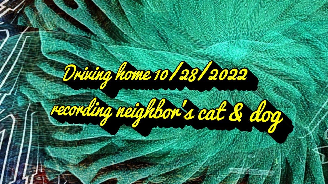 Driving home 10 28 22 l recording neighbors cat   dog l Powerdirector