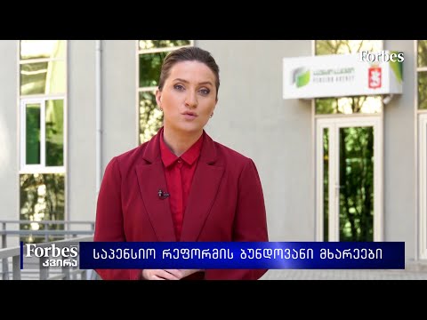 საპენსიო რეფორმის ბუნდოვანი მხარეები