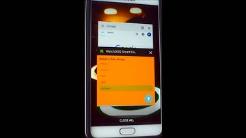 Watchdog Demonstration Video