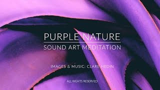 Purple Nature screenshot 4