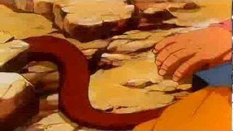 Dragon ball Z - bring me to life