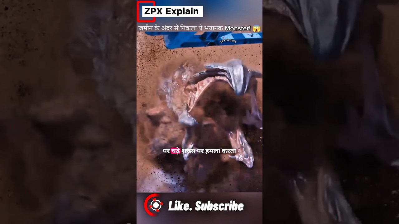 जमीन के अंदर से निकला ये भयानक Monster! 😱#Movie explain hindi #movies #movierecap #viral #shorts