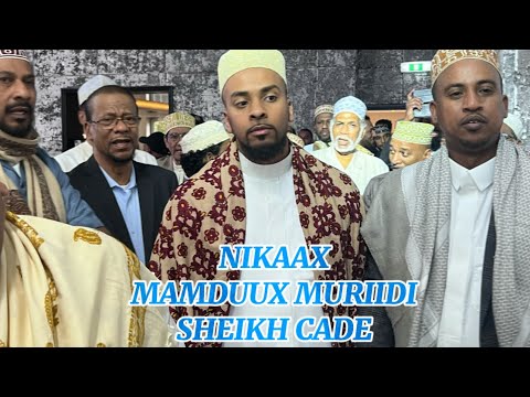Nikaax MAMDUUX MURIIDI
