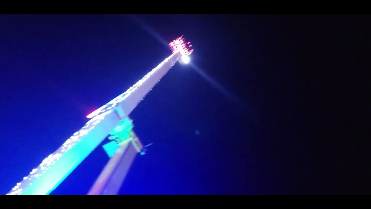 Bomber maxxx Grau du Roi