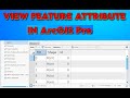 View feature attribute Pro I View &amp; Edit Feature I ArcGIS Pro Tutorial I Attributes in ArcGIS Pro