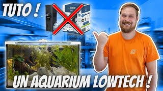 Mon Aquarium nano 20L lowtech SANS FILTRE 