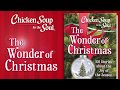 Chicken soup for the soul the wonder of christmas