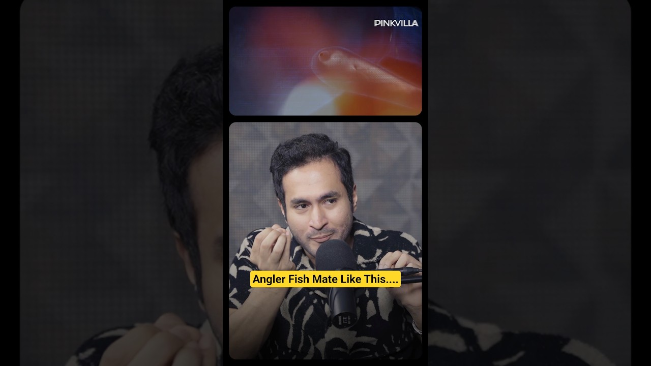 Angler Fishes & Their BIZARRE Mating Cycle | 