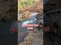 शेतकरी#शेती#shetkari #farming#shorts#farmer #marathi#dialogue#yt #shortviral#vairal#video