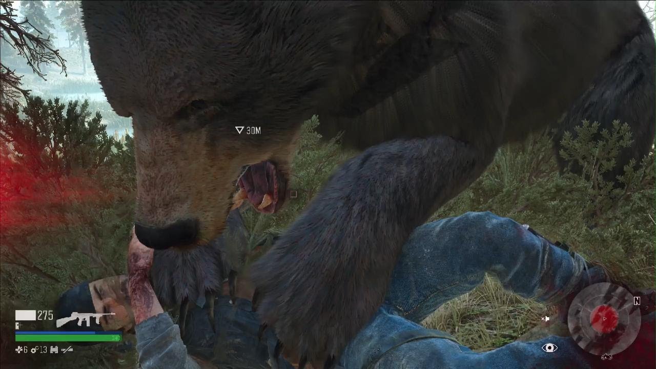 Days Gone: Remastered i got jumped by 3 bears that i went this location XD