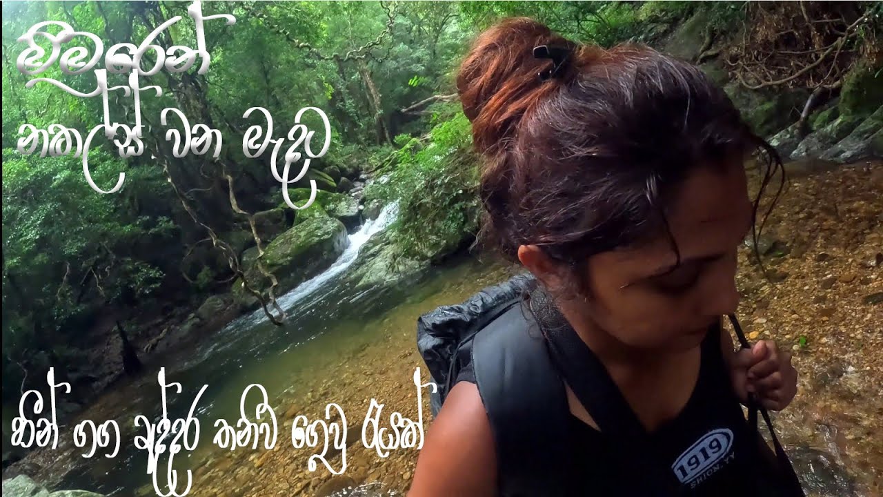 තනිවම නකල්ස් වන මැදට - මීමුරේ හීං ගඟ ලඟ රැයක්  Beauty of Meemure & Knuckles - Solo Camping