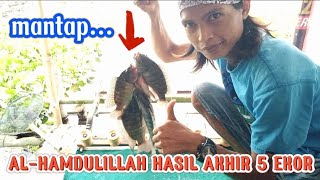 🔵 ngeri banget sentakan neng lala‼️mancing disitu bagendit satu. EDISI NGUNTUL. part 2