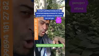 #кандли деабет #сахир #холисистет #панкреатит