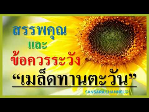 วีดีโอ: การรับประกันการรับประกันคือการบริหารความเสี่ยงสำหรับพอร์ตประกันที่ทำกำไรได้ เงื่อนไขที่สำคัญของสัญญาประกัน