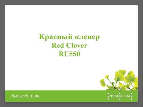 Красный Клевер НСП