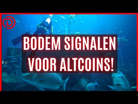 Video: Hoe wordt de bodem gevormd?