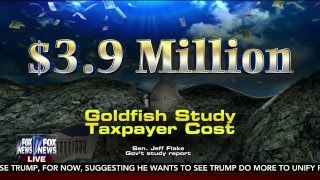 Sen. Flake on 20 Questions Oversight Report with Fox & Friends Profile