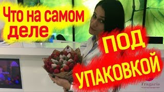 Из чего состоит наш главный продукт