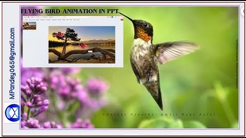 Flying Birds🕊️🦅| PPT Animation, Learn & Try!