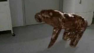 Star Trek Deep Space 9 Ds9 Dog Morph 2