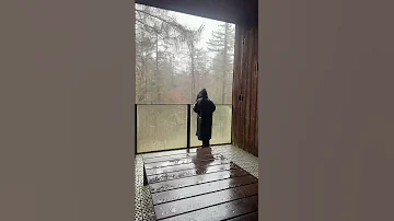 Bostoren Putten in de Veluwe