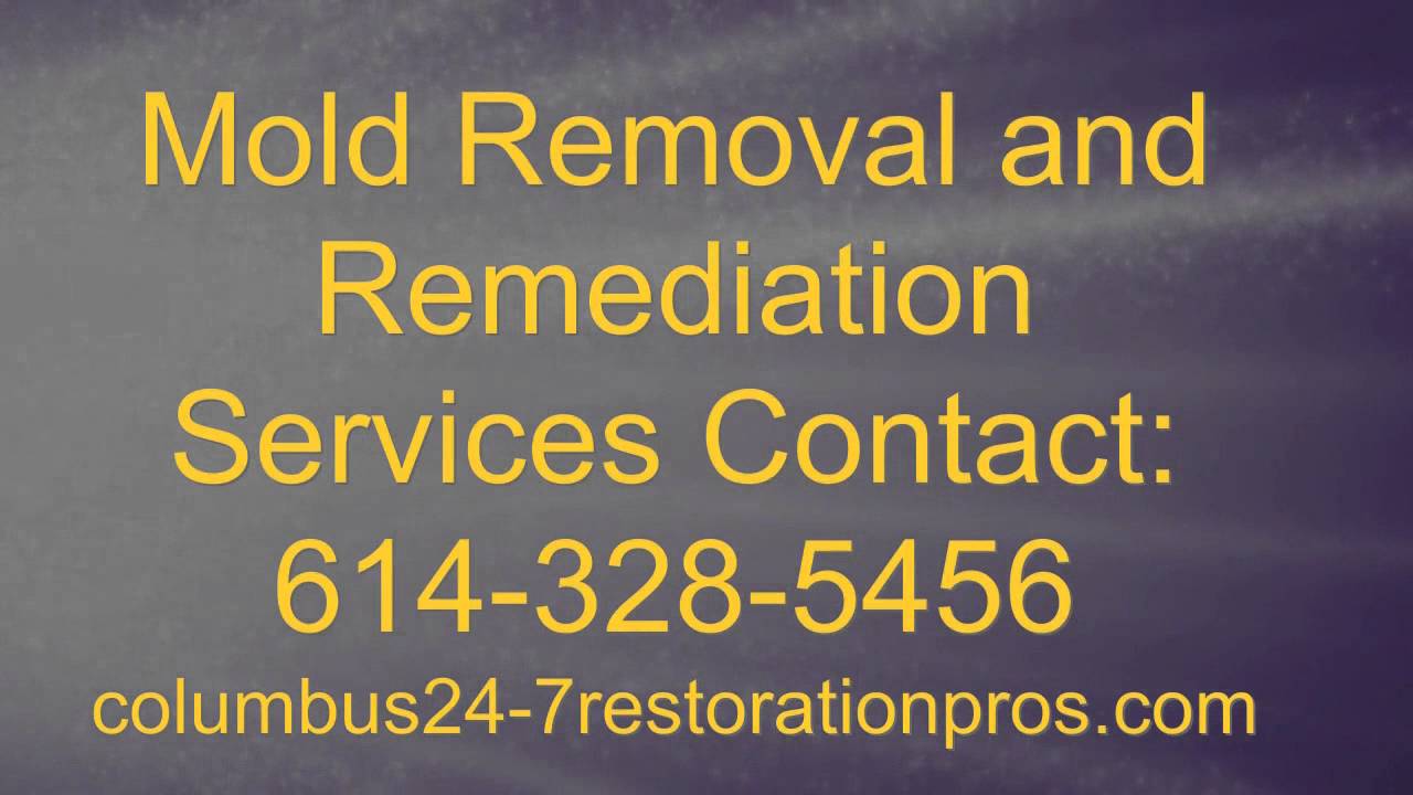Columbus OH Mold Removal | Remediation Services Restoration