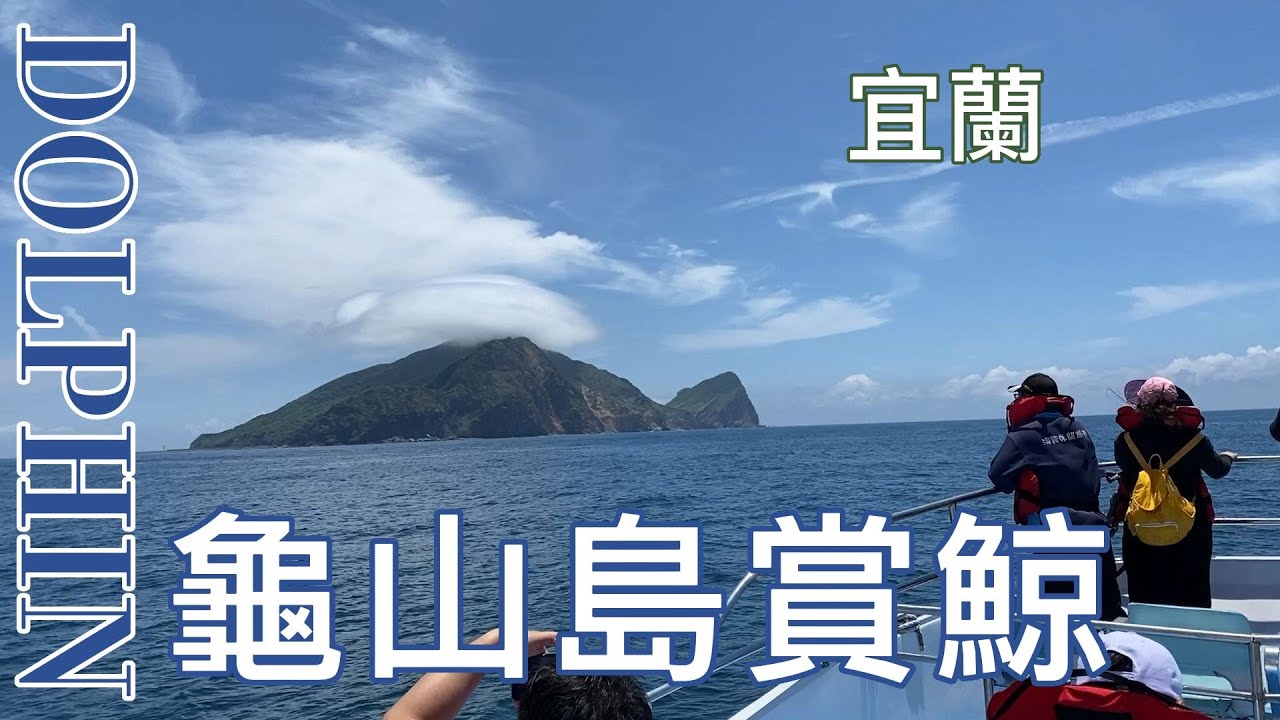 虎鯨來了！台灣外海也能看到野生虎鯨 史上最幸運的賞鯨團 Observations of Orcinus Orca in Taiwan #orca #賞鯨