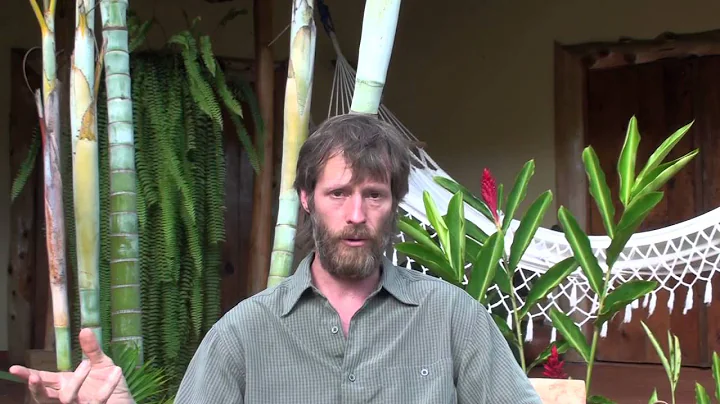 The Origins of Healing Academy with The Founder Br...