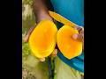 This video for mango lovers 🥭cutting mango #shortvideo #fruit #yummy #mango #freshfruits #asmr