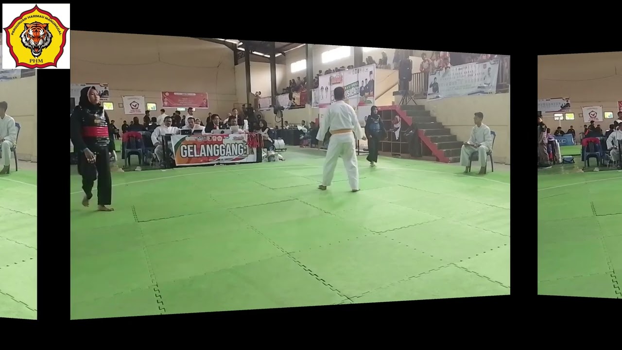 PETARUNG PEMULA BERHASIL MERAIH MEDALI EMAS PADA TURNAMEN  IPSI LOTIM CHAMPIONSHIP3