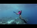 Guillaume Nery Freediving Expedition - Bohol