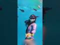 ocean dive animal counter #usashorts #usa#usaviral #viralvideo #funny #sea #seacreatures