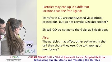 Entry of Nanoparticles into Cells: Mechanisms, Consequences and Challenges in Reaching the Target