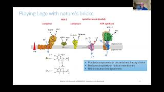 Build-a-Cell seminar Christoph von Ballmoos: Reconstructing Bioenergetics for Synthetic Cells