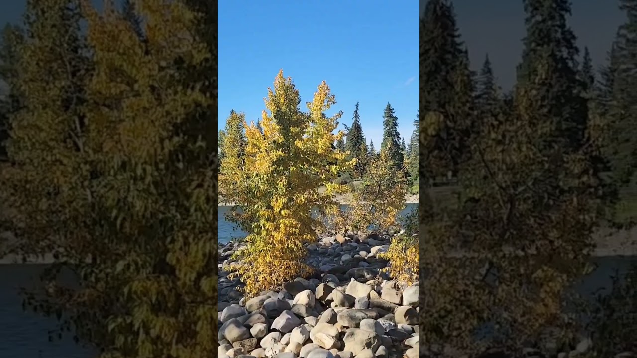 🍂 Autumn in Canada 