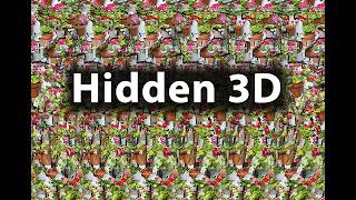 Do You See the Hidden 3D Yet?