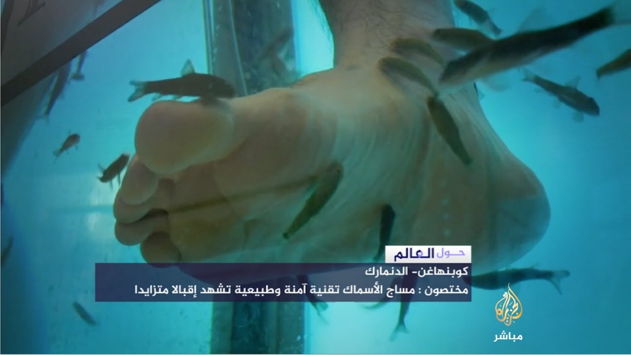مساج "السمك التركي" طريقة مبتكرة لتدليك القدمين