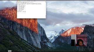 How to draw lines and shapes with a turtle using Python programming language