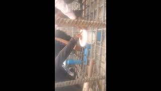 Install Main drain for Swimming Pool