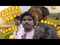 திரும்புறபக்கம் எல்லாம் கொம்பனா இருக்கு!🤯🐘😱 Dubare Elephant Camp📍🤩 Karnataka Series😍 #vlog 