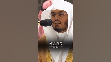 #تلاوات_ياسر_الدوسري #تلاوة_خاشعة #تلاوة_هادئة #تلاوة_خاشعة