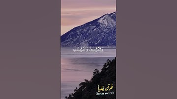 رب اغفر لي ولوالدي #سورة_نوح #القرآن_الكريم #فارس_عباد #اكسبلور #راحة_نفسية #لايك #تلاوة_خاشعة