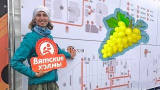 Полумарафон в Кирове. Бег на сыроедении