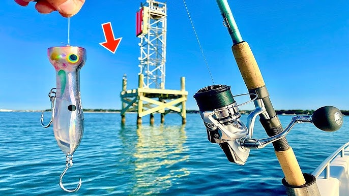 BEST saltwater TOPWATER fishing combo #fishing #saltwaterfishing