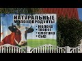 Специальный репортаж "Кооператив для потребителей"