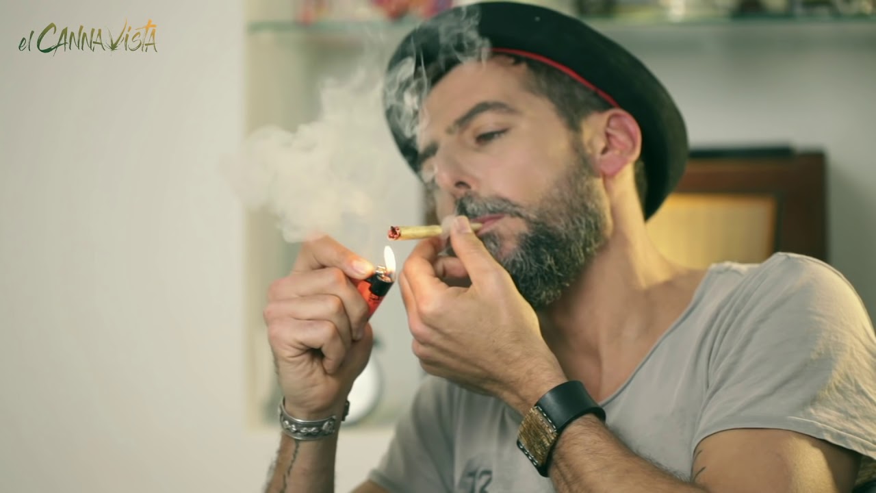 El Cannavista - Capítulo 2. Cata de Kritikal-K