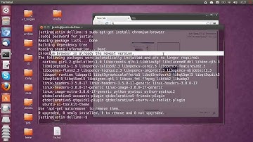 Install Chrome web browser on Ubuntu 13.04