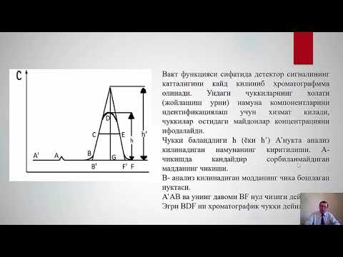 Video: Yupqa qatlamli xromatografiyada statsionar faza nima?