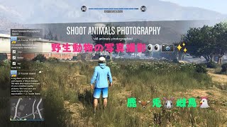 【GTA5】野生動物の写真:鹿🦌兎🐰雌鳥🐔/Wildlife Rhotography:Deer,Rabbit,Hen(Shoot Animals Photography)/激写！動物撮影1日目 screenshot 2