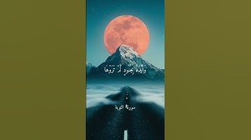 تلاوة خاشعة بصوت الشيخ علي جابر رحمة الله ارح قلبك .